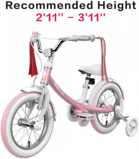 Segway-Ninebot Kids Bike 14 inch in Pink