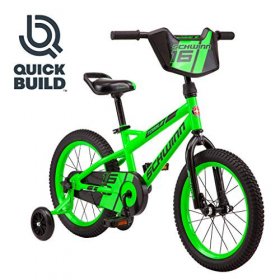 Schwinn Kids Bike, 16-Inch Wheels, Smart Start Steel Frame, Easy Tool-Free Assembly, Green