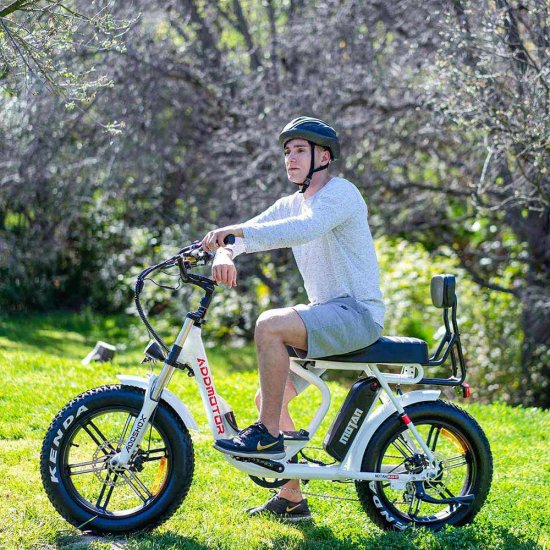 20'' Electric Cruiser Bike 750W Motor 48V 16Ah Battery, Addmotor Adult