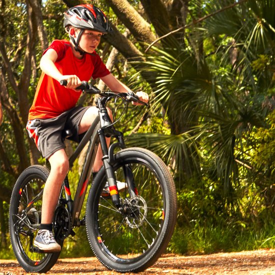 Huffy 24 Scout Boys' Hardtail 21Speed Mountain Bike with Disc Brakes