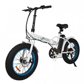 ECOTRIC Electric Fat Tire Bicycle 20" X 4" Folding Bike 500W 36V 12Ah Lithium Battery Beach Mountain Snow Ebike Moped