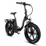 20" 16Ah 750W 48V Electric Folding Bike for Adults Step-Through City E-bike, Black