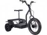 MotoTec 1200 Watt 48v 3 Wheel Electric Trike Mobility Scooter