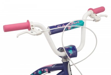 Schwinn bike, 20-inch wheels, single speed, girls frame, Blue