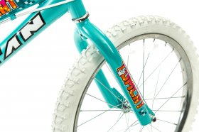 Titan 20 In. Tomcat Girls' BMX Bike with Pads, Teal Blue