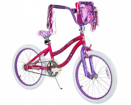 Dynacraft 20 inch Girls Rule Bike for Girls with Handlebar Bag Included